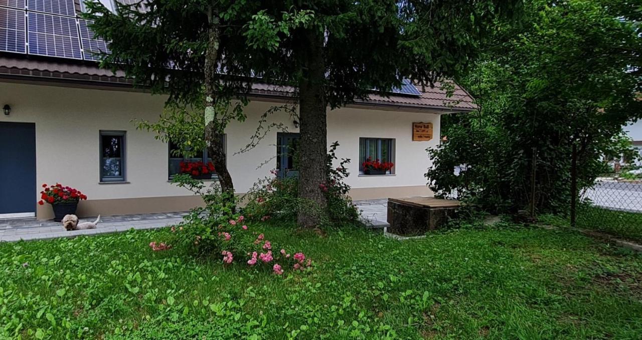 Nona Bb Bed & Breakfast Postojna Eksteriør bilde