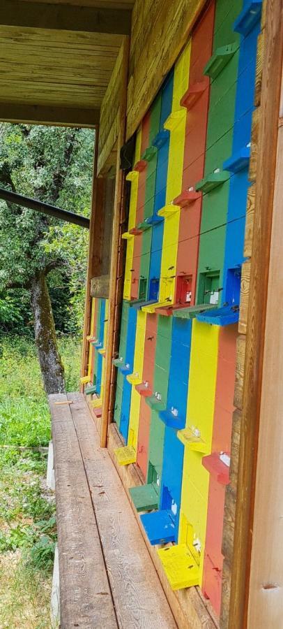 Nona Bb Bed & Breakfast Postojna Eksteriør bilde